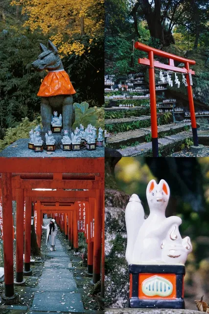Kamakura's Hidden Gem: The Fox Shrine 🦊✨