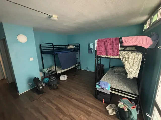 I Really Love This Hostel! 🏝️🛌🤗