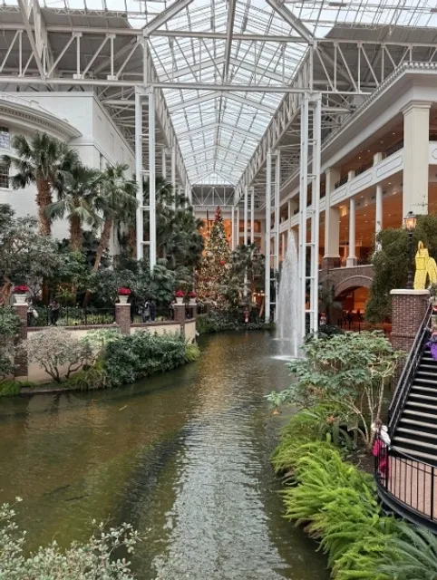 A Rainforest Greenhouse Hidden in a Hotel!