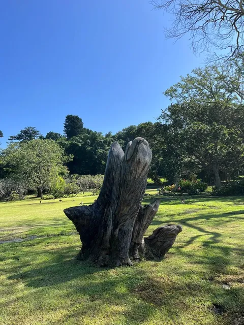 A Day in Durban, South Africa