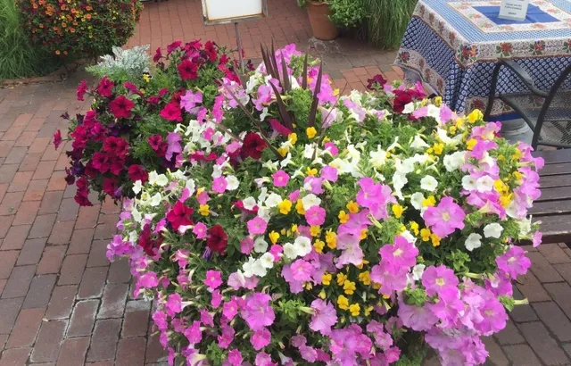 Michel's Corner Crepes: A French Romantic Corner