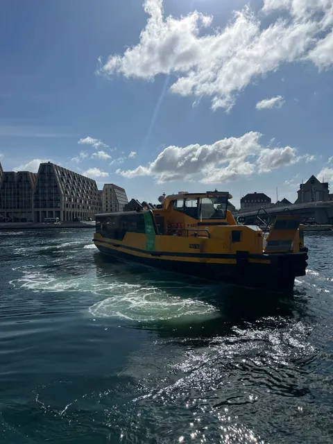 Copenhagen Hidden Gem: The Local Harbour Bus Experience!
