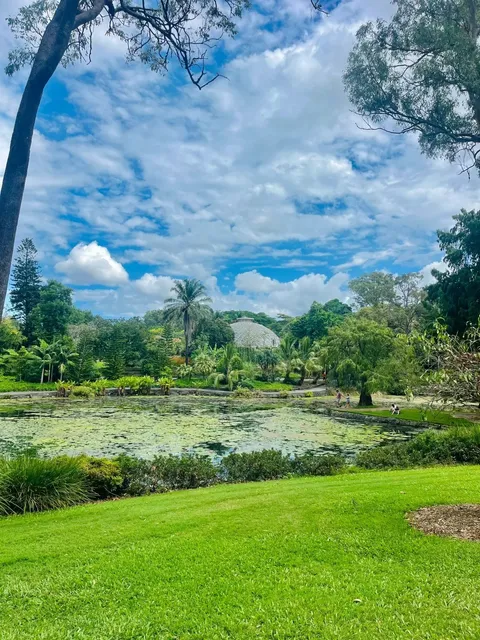 🇦🇺 Brisbane’s Most Photogenic Spot: Where Even the Air is Green! 🌿