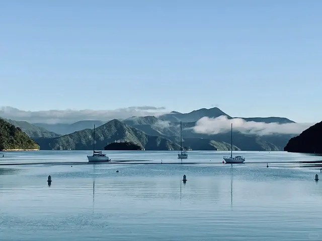 𝑺𝒖𝒎𝒎𝒆𝒓 𝒊𝒏 𝑷𝒊𝒄𝒕𝒐𝒏 | A Season of Salt & Stars