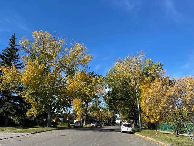 Top 10 Popular Natural Parks in Calgary（2） 🌟