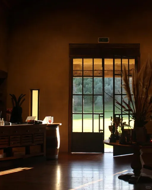 Napier: The North Island’s Coastal Gem You’ll Never Tire Of! 🌊✨