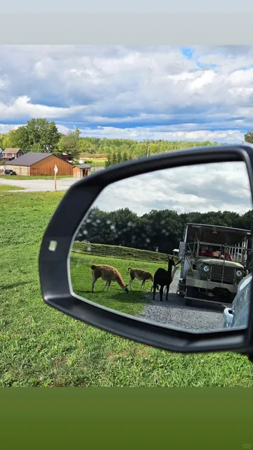 Keystone Safari: An Up-Close Encounter with Animals Outside Pittsburgh
