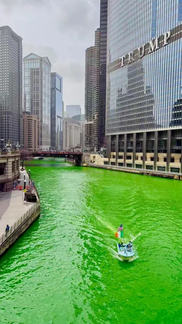 The Chicago River Turns Green Again! 