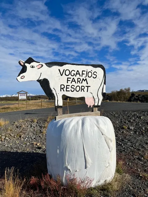 North Iceland | Whale Watching at Sea