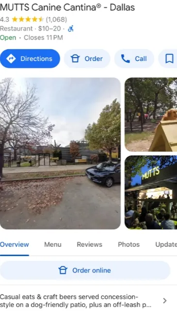 Dallas Trip with My Dog 🐶 | A Foodie’s Journey for the Pet Parent