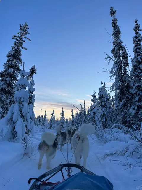 Alaska Self-Drive Aurora Chase