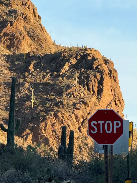 Tucson🌵✨ A Day of Wonder at the Arizona-Sonora Desert Museum! 🐾🌄
