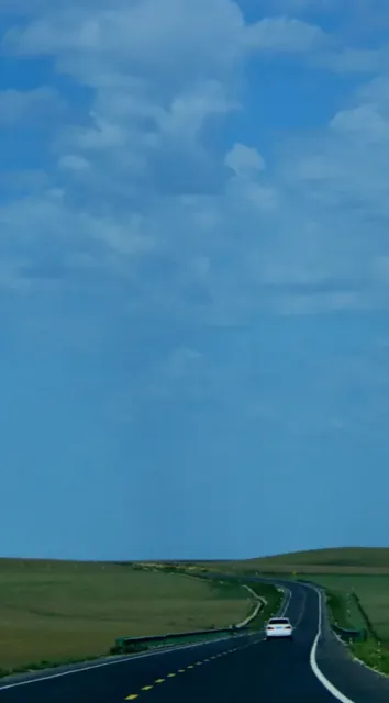 Gongger Grassland: A Fairy-Tale Dance with Camels