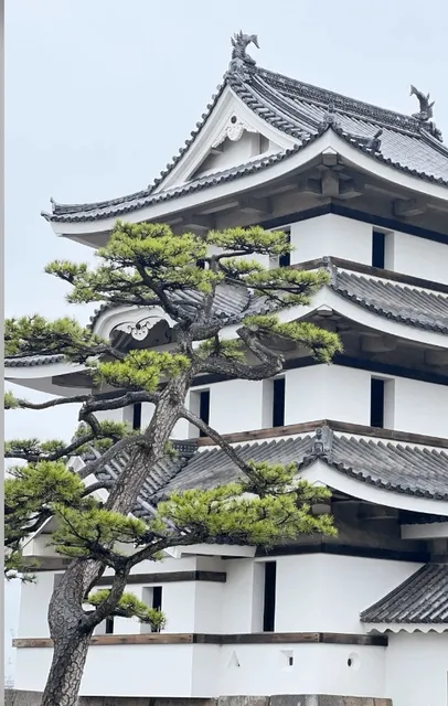 Shikoku's Non-Island-Hopping Guide | Takamatsu City Center (1)