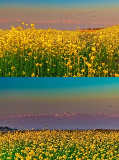 🌊 Chenab River | Where Nature Clashes with Civilization