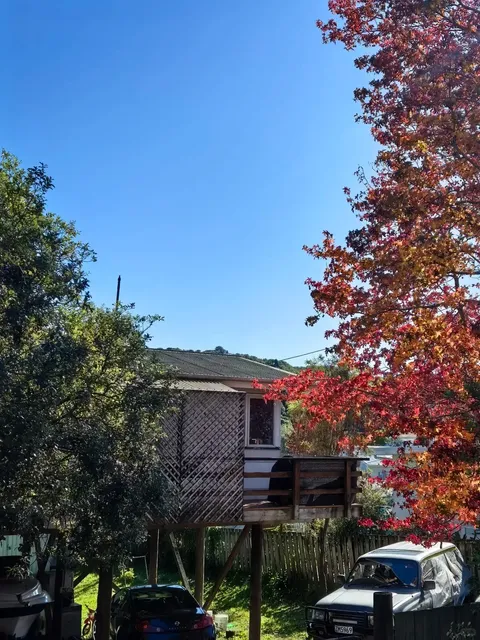 🇳🇿 Picton - New Zealand's Hidden Coastal Gem