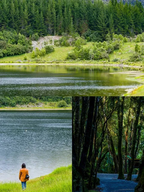 🌍 Global Journey - Wanaka, New Zealand Edition