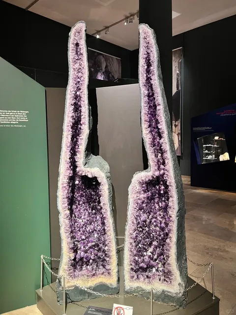 Karlsruhe's Best Free Friday Afternoon Museums 🆓🏛️