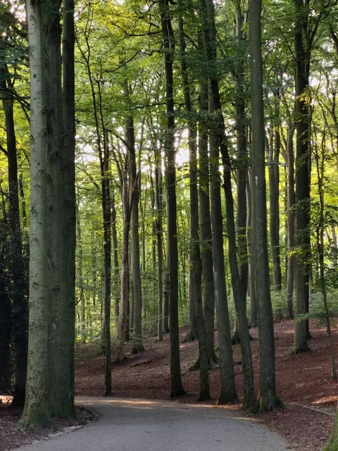 🇳🇱 Loving Arnhem - The Charming City Near Amsterdam!