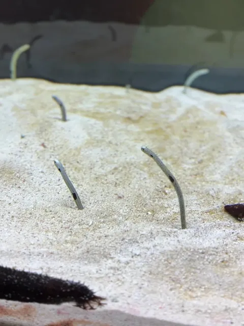 🚀 Osaka Half-Day Tour! (2) 🌸🌺🌿🍃