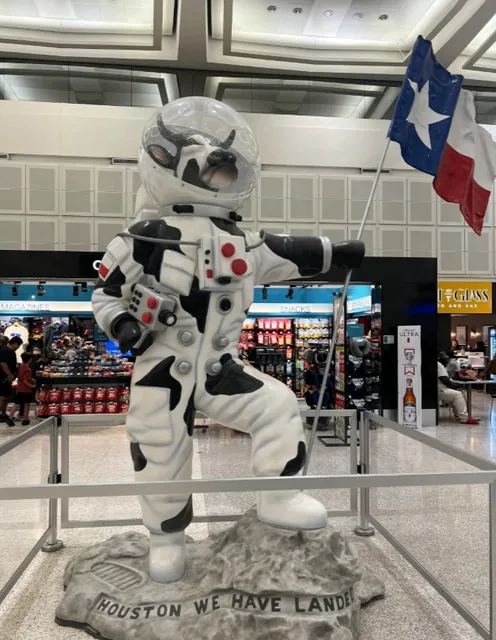 🚗 7-Day Texas Road Trip – The Lone Star State Unlocked