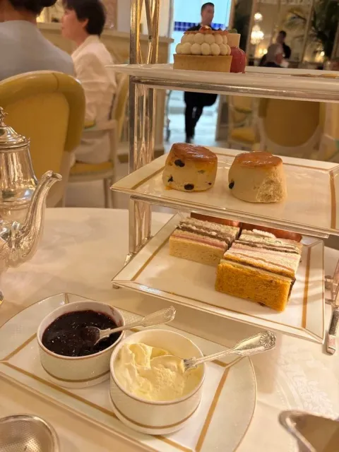 An Unforgettable Experience! 🌟 