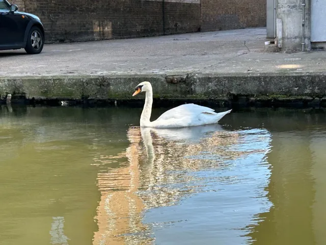 Absolutely Fantastic & Incredibly Enjoyful! 🚤🍦🏛️
