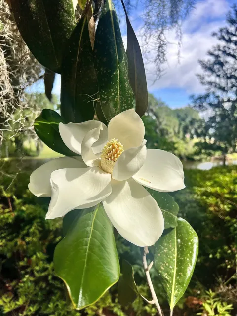 A Wonderful 7-Day Experience! 🌿✨