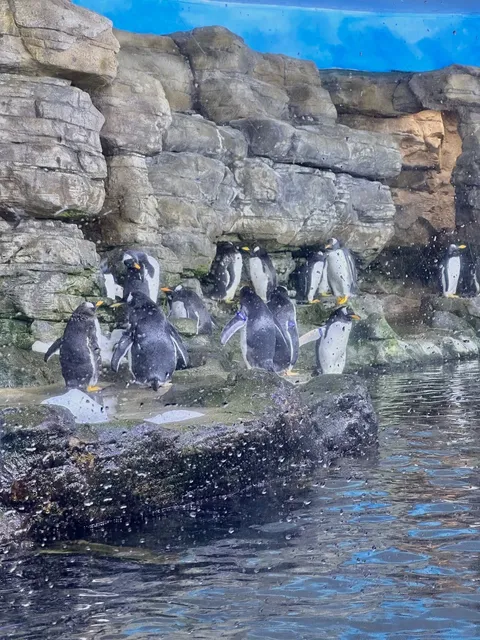 Don't Miss the City of Arts & Sciences in Valencia! 💥