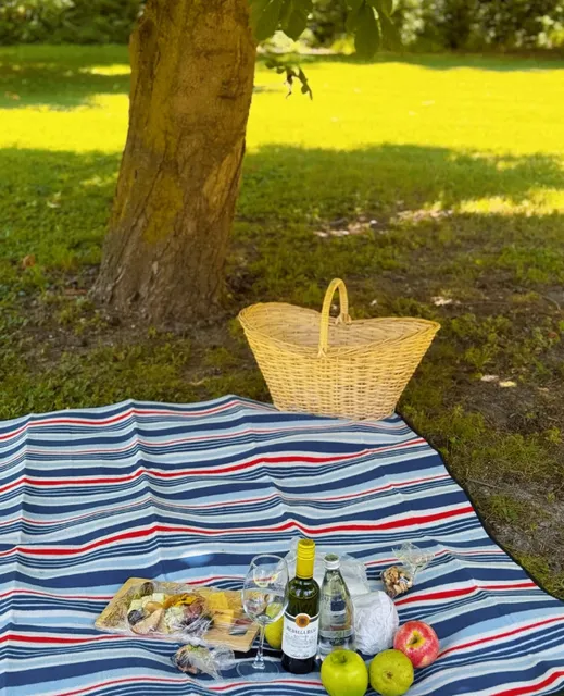 🍇 Into the Dreamscape: A Picnic at Chile’s Viña Santa Rita Winery