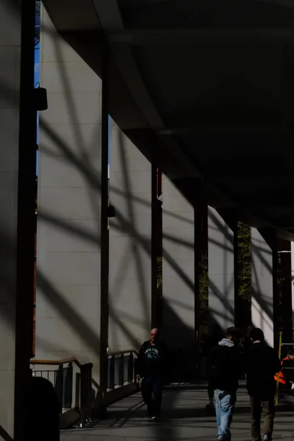 🇬🇧 Belfast: Where Wandering Feels Like Poetry 🌿✨