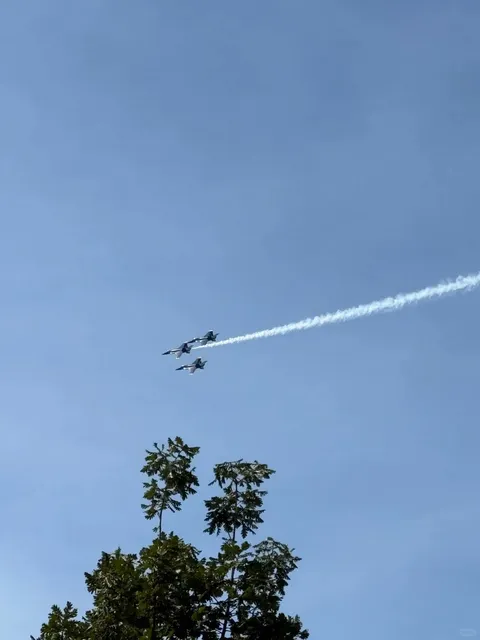 Seattle Seafair's Hidden Viewing Spot ✈️✨