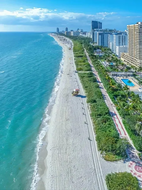 Places You MUST Visit in Miami 