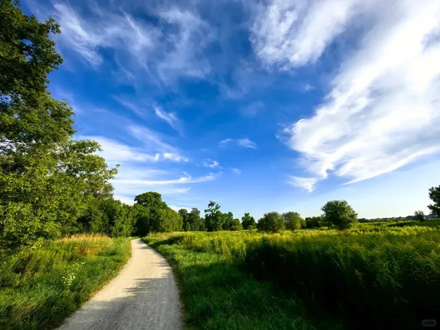 🇨🇦 Exploring Kiwanis Park Trail in Kitchener-Waterloo 🌳🚶‍♂️