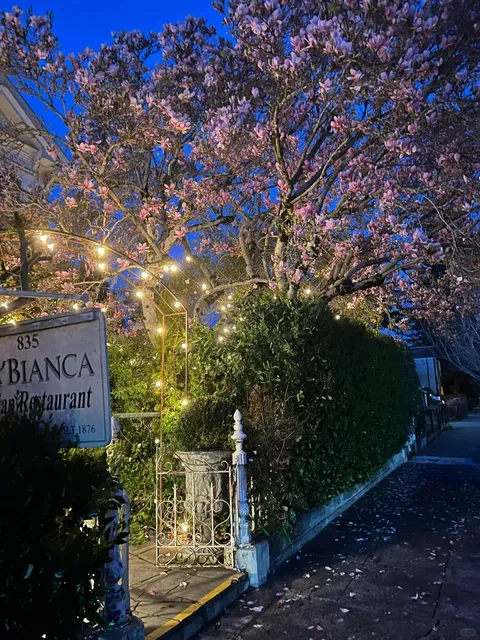 A Romantic Evening in Sonoma