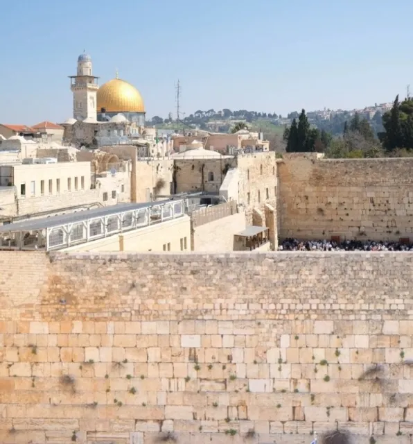 nine are found in Jerusalem