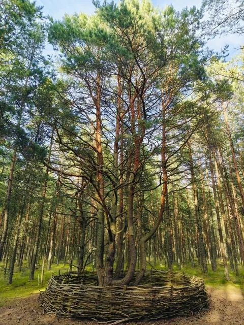  Russia · Kaliningrad — Curonian Spit National Park 🏞️
