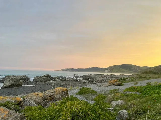 🇳🇿 Kaikoura Travel Guide: Beyond Whale Watching! 🐳✨