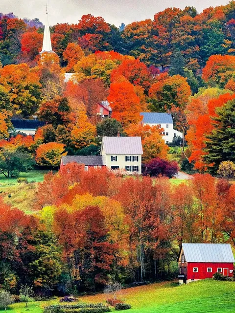 Vermont is Already in Fall! 🍁 Best Maple Leaf Viewing Spots Recommend