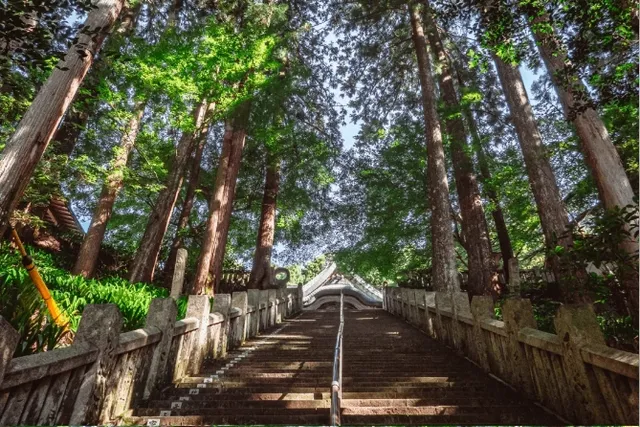 Pilgrimage to Hidden Temples in the Mountains and Forests(2) 🌿