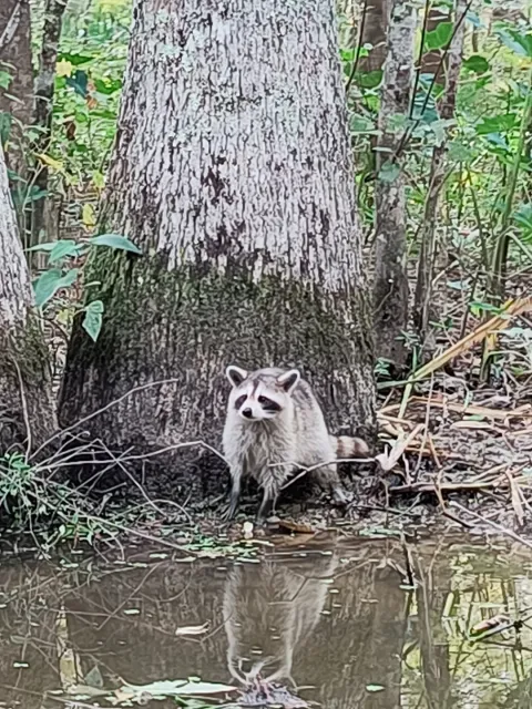 Can’t Wait for Our Next Trip! 🌿🚤💫
