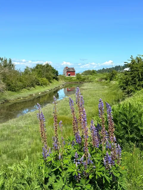 Hidden Gem Alert: Blackie Spit Park in Vancouver 🌿🌸