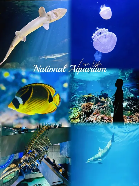 🇺🇸 Beyond Expectations | Baltimore — A City Full of Surprises! 🌆✨