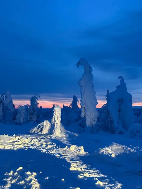 ❄️ Alaska | Arctic Circle Expedition 🧊 