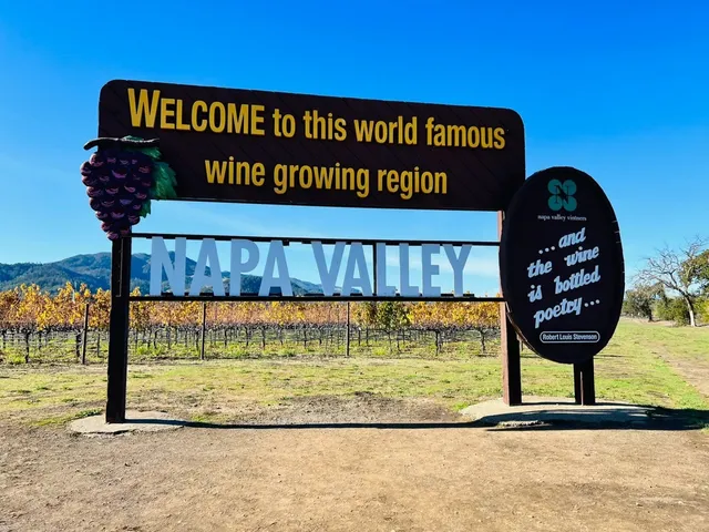 🇺🇸 Napa Day Trip: 7 Stops & Wineries on a Budget 💰