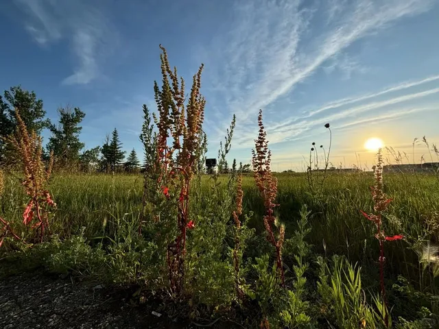 Regina, Saskatchewan: Where Prairie Industry Meets Unexpected Charm 🌾