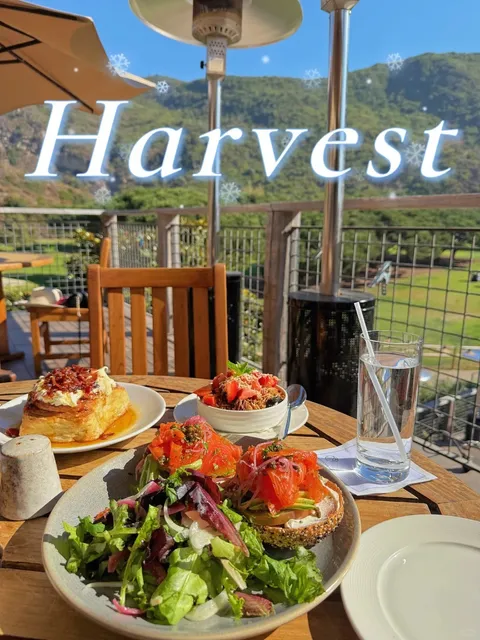 【USA】OC Irvine｜The Most Beautiful Brunch｜Hidden Valley Restaurant 🏞️☀