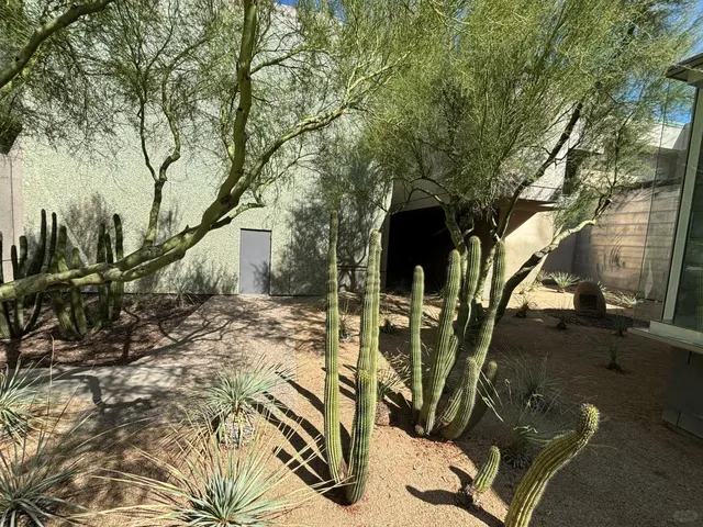 🌺 Phoenix Art Museum: Where Arizona’s Creativity Shines 🌴💦