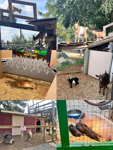 A Day as an Abbotsford Farmer 