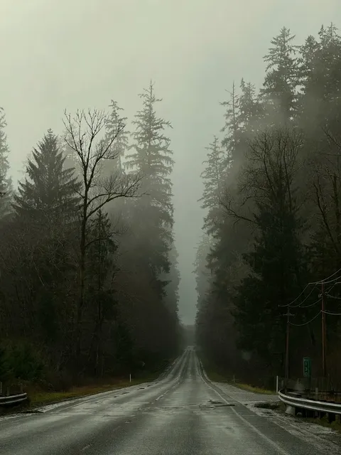 🌧️ Forks, WA: Entering the Twilight Vampire Realm